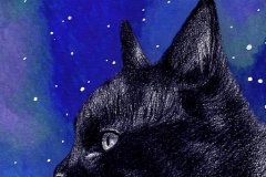 Dark Cat