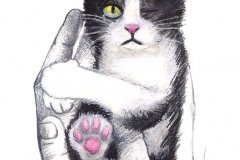 Gatito