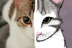 Krispi Toonme