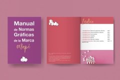 Manual Normas