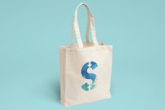 Bolsa Sfts