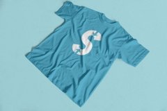 Camiseta Sfts